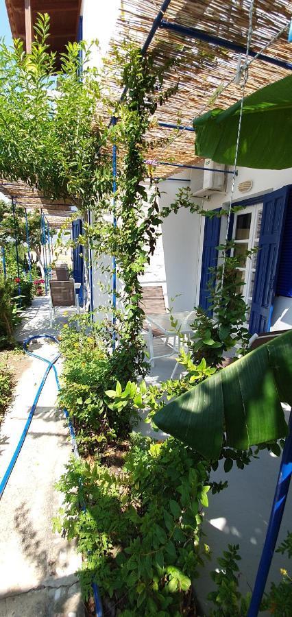 Jenny Apartments การ์โลวาซี ภายนอก รูปภาพ